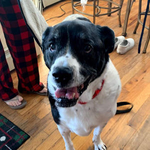 Meet your Posher, Jasmine